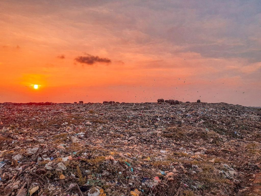 Visuele gids voor afvalbeheer: stapels afval illustreren het belang van vuilstortbeheer in Hoorn met recycling- en composters